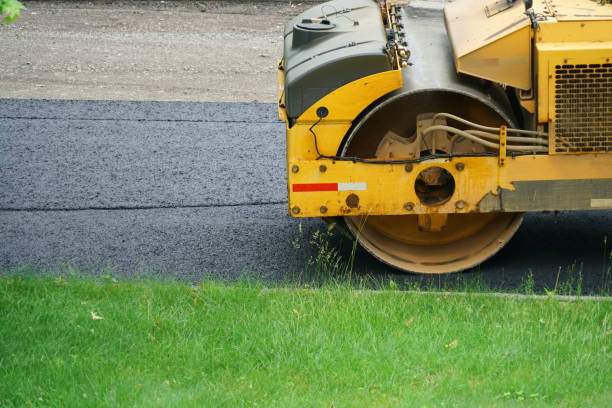 Best Driveway Pressure Washing  in New Buffalo, MI